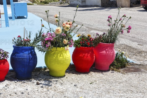 Brightly coloured flower pots with carnations by the roadside, Akrotiri, Santorini, Cyclades, Greece