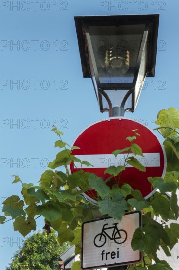 Street lamp and traffic sign, no entry, free for bicycles, Isny, Swabia, Baden-WÃ¼rttemberg, Germany