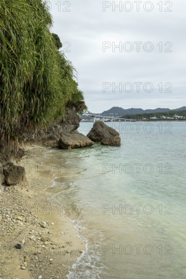 Lover Beach, volcanic rocks and vegetation on the beach of Sesoko-jima, Sesoko Island, Motobu, Kunigami District, Okinawa, Japan