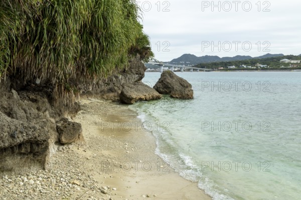 Lover Beach, volcanic rocks and vegetation on the beach of Sesoko-jima, Sesoko Island, Motobu, Kunigami District, Okinawa, Japan