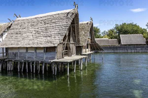 Traditional stilt house towers over shimmering green water in tranquil surroundings, Lake Dwellings Unteruhldingen Open-Air Museum Lake Constance Germany