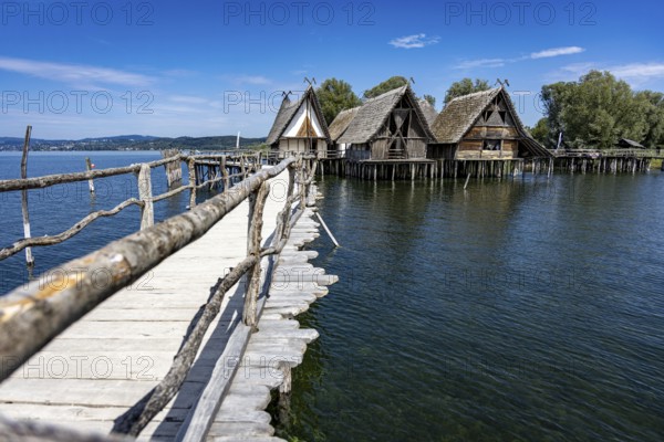 Wooden walkway leads to traditional stilt houses surrounded by calm water, pile dwellings Unteruhldingen Open-Air Museum Lake Constance Germany