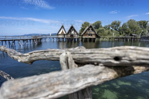 Pile dwellings protrude into the water, embedded in a picturesque lake and hilly landscape, Unteruhldingen Pile Dwellings Open-Air Museum Lake Constance Germany