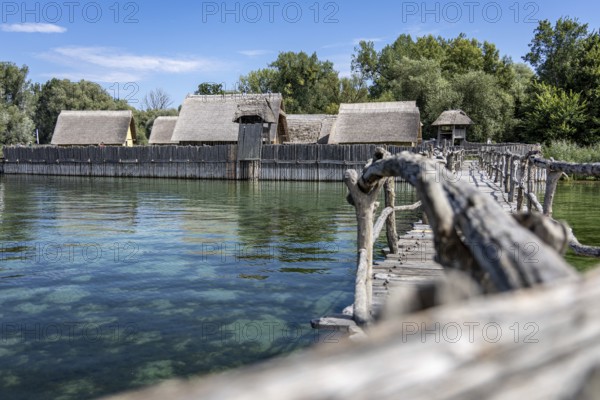 Wooden bridge stretches towards thatched buildings in the middle of idyllic nature, pile dwellings Unteruhldingen Open-Air Museum Lake Constance Germany