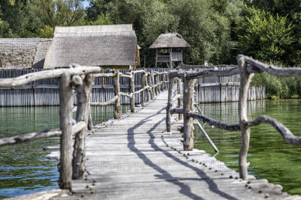 Rustic wooden bridge leads through lush vegetation over the water, pile dwellings Unteruhldingen Open-Air Museum Lake Constance Germany