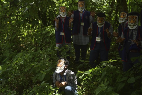 Agartala, Tripura, India, 29-07-2025: Students of NSS (National Service Scheme) unit from Mahatma Gandhi Memorial School wearing tiger masks during an event on Tiger Conservation on International Tiger day, organised by Sima Chakma, coordinator of MGM NSS UNIT at Agartala. International Tiger day is an annual celebration to raise awareness for tiger conservation, held annually on 29th July. Photo By-Abhisek Saha