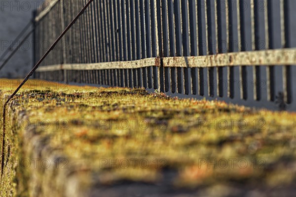 Moss-covered stone wall with parallel iron fence, Krefeld