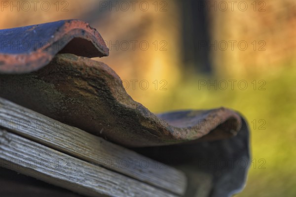 Detail of an old roof with missing tiles in warm light, Krefeld