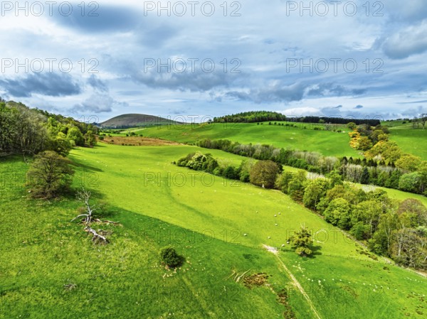Farms and mountains over Ullswater Lake from drone, Pooley Bridge, Lake District National Park, Cumbria, England, United Kingdom