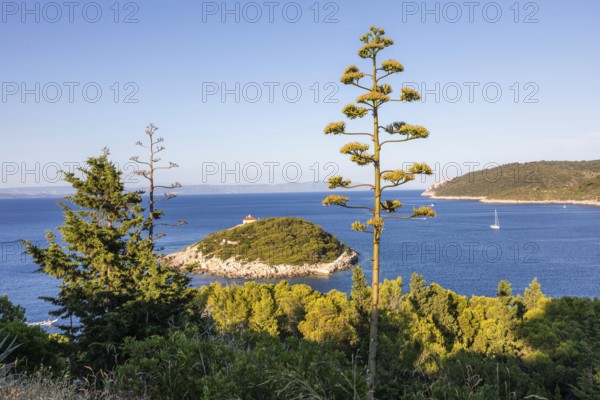 View from the island of Vis to the island of Hvar, sailing ships off the bay of the town of Vis, island of Vis, Mediterranean Sea, Dalmatia, Croatia