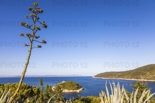 View from the island of Vis to the island of Hvar, small offshore island in the bay of the town of Vis, island of Vis, Mediterranean Sea, Dalmatia, Croatia