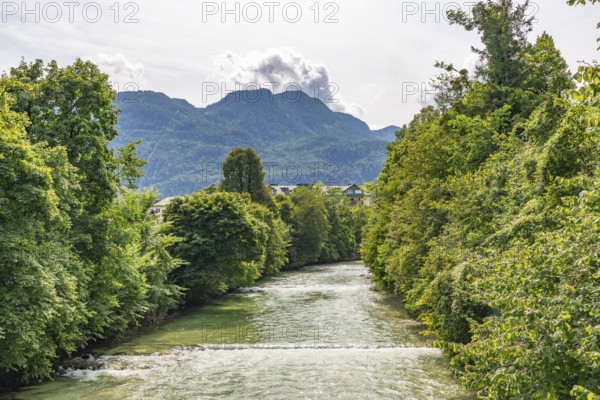 The river Enns between green trees with mountains in the background, Bad Ischl, Upper Austria, Austria