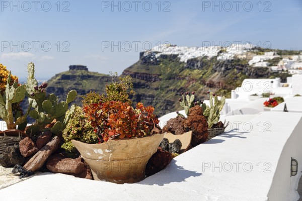 Flower pot on a house roof, Firostefani, Santorini, Greece