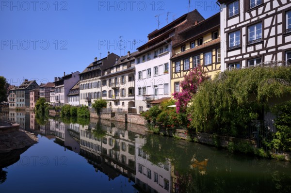 Half-timbered houses, canal, historic district Petit France, Strasbourg, Strasbourg, old town, Bas-Rhin, Grand Est, Alsace, France