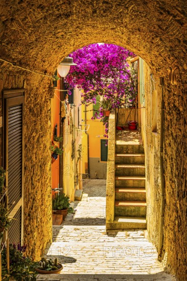 Narrow passageway on Via Roma, Capoliveri, Elba Island, Tuscan Archipelago National Park, Tuscany, Italy