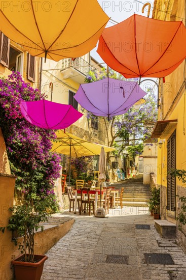 Coloured umbrellas span the Via Cavour, Capoliveri, Elba Island, Tuscan Archipelago National Park, Tuscany, Italy