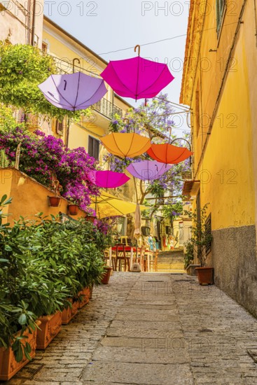 Coloured umbrellas span the Via Cavour, Capoliveri, Elba Island, Tuscan Archipelago National Park, Tuscany, Italy
