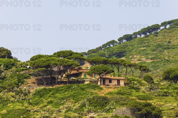 Holiday homes at Punta della Ciarpa, Elba Island, Tuscan Archipelago National Park, Tuscany, Italy