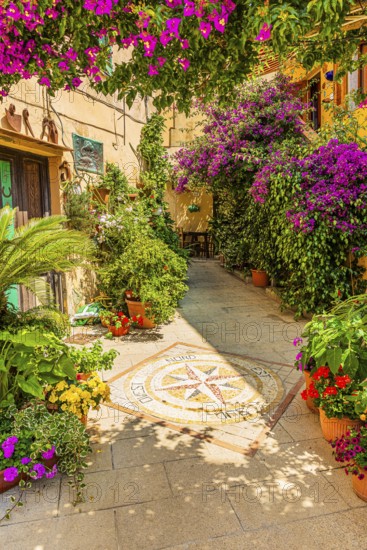 Courtyard decorated with flower pots, Capoliveri, Elba Island, Tuscan Archipelago National Park, Tuscany, Italy