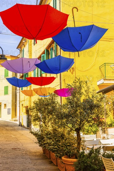 Coloured umbrellas span the Via Cavour, Capoliveri, Elba Island, Tuscan Archipelago National Park, Tuscany, Italy