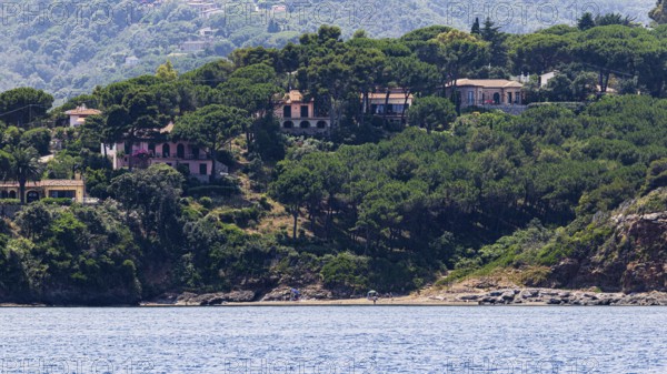 Holiday homes on the hill of Capo Perla, near Capoliveri, Elba Island, Tuscan Archipelago National Park, Tuscany, Italy