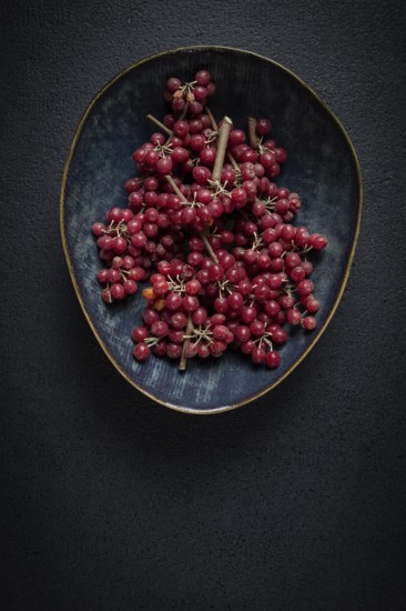 Shtoshi berry, Shepherd's pie, a hybrid of sea buckthorn and barberry, top view, no people