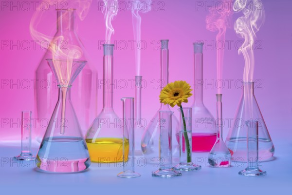 Variety of partly filled laboratory glassware including a flower head and some smoke in colorful ambiance