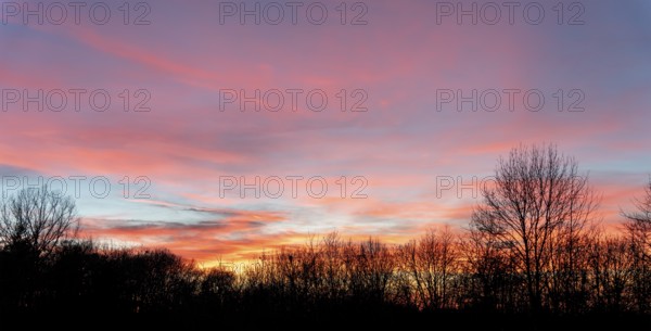 A colorful sundown including some clouds behind some leafless treetop silhouettes