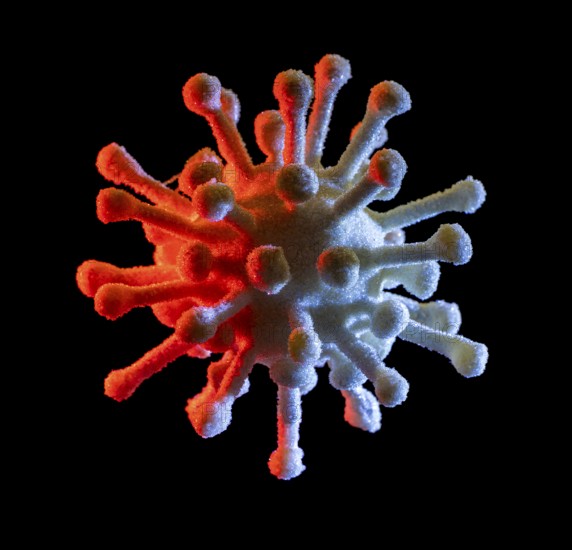 Symbolic virus isolated in black back