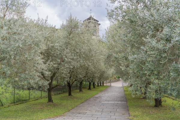 Impression around the Piona Priory or Piona Abbey, a religious complex on the Lecco bank of Lake Como in the territory of the comune of Colico, northern Italy
