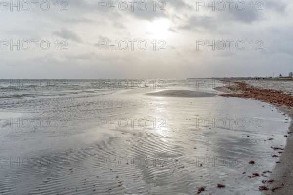 Scenery around Olpenitz, a part of the town Kappeln in Schleswig-Holstein, Germany, at the mouth of the Schlei firth to the Baltic Sea