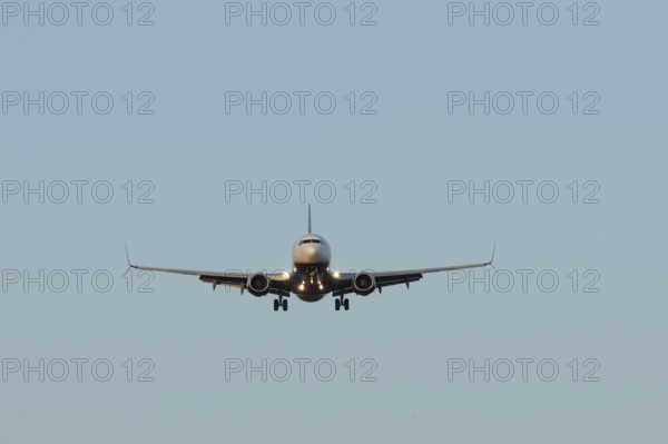 Boeing 737 jet passenger aircraft of Ryanair airlines in flight landing at London Stansted airport, Essex, England, United Kingdom
