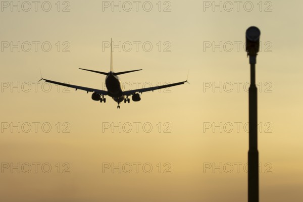 Boeing 737 jet passenger aircraft of Ryanair airlines in flight landing at sunset at London Stansted airport, Essex, England, United Kingdom