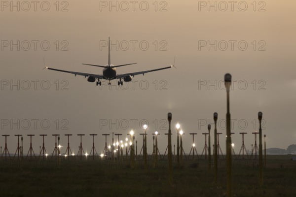 Boeing 737 jet passenger aircraft of Ryanair airlines in flight landing at sunset at London Stansted airport, Essex, England, United Kingdom