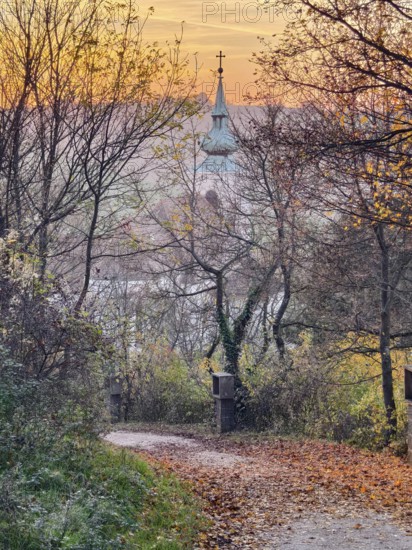 Leaf-covered path in autumn leads to a church tower at sunset Pilgrimage church Oberleis Weinviertel Lower Austria Austria