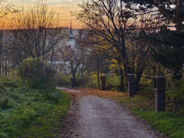 Cobbled path lined with trees leading to a church at sunset Pilgrimage church Oberleis Weinviertel Lower Austria Austria