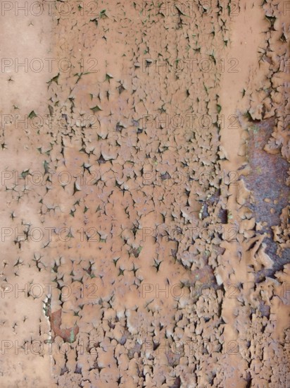 Pink peeling paint with cracked texture on a surface Lower Austria Austria