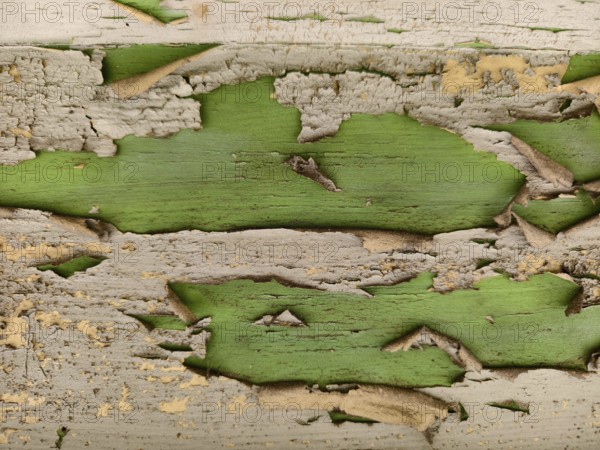 Weathered wood with peeling green colour Lower Austria Austria