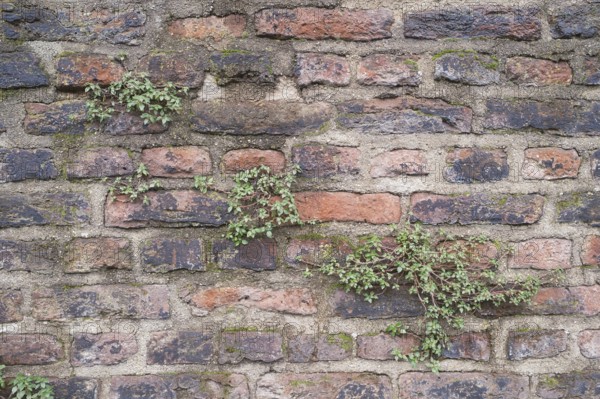 Old stone wall as background, vintage, North Rhine-Westphalia, Germany