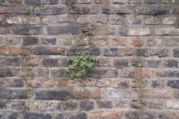 Old stone wall as background, vintage, North Rhine-Westphalia, Germany