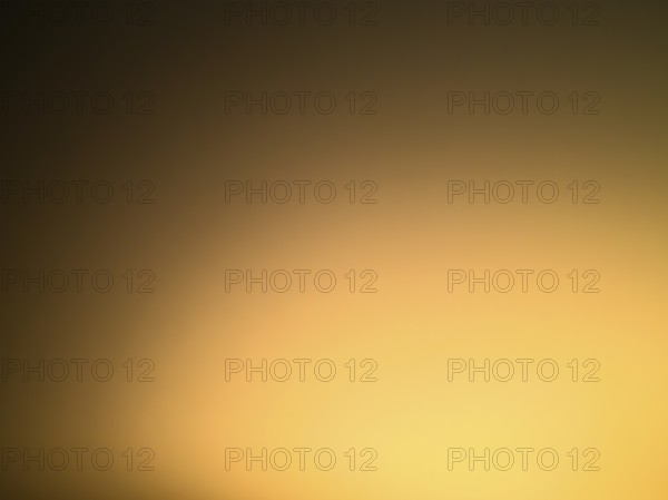 Yellow area with brightening light gradient to the bottom right as background, North Rhine-Westphalia, Germany
