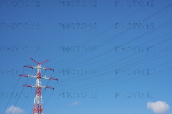 An extremely high electricity electricity electricity pylon, marked white and red, on the banks of the Elbe, river bank, Elbe crossing 2, 227 m high, highest overhead line pylon in Europe, blue sky with small white clouds, cables, lines with red and white marked balls, high-voltage pylon, overhead line pylon, overhead line, colour marking, safety, aviation safety, technology, structure, near Hollern-Twielenfleth, Lühe, Altes Land, Lower Saxony, Germany