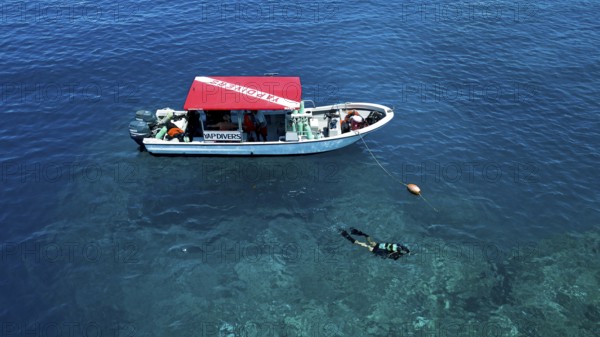 Diver scuba diving swims dives next to diving ship anchored at reef, Pacific Ocean, Yap Island, Yap State, Caroline Islands, FSM, Federated States of Micronesia, Australia, Oceania