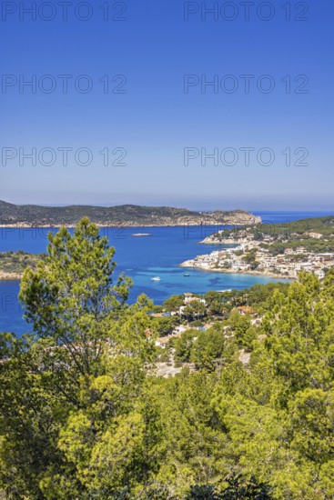 Rocky coastline with a scenic sea view of the blue Mediterranean Sea and lush trees on a sunny summer day, Mallorca, Spain