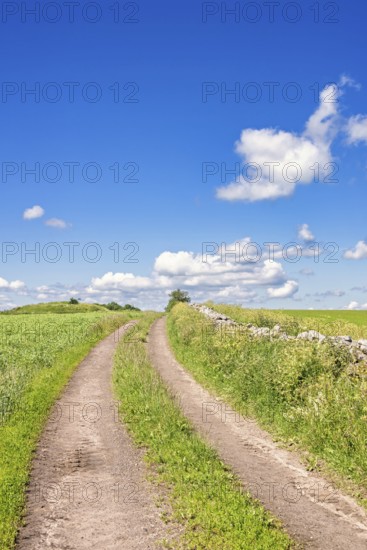 Farm Road with grass shoulder on a meadow by a stone wall and a blue sky a beautiful summer day with sunshine