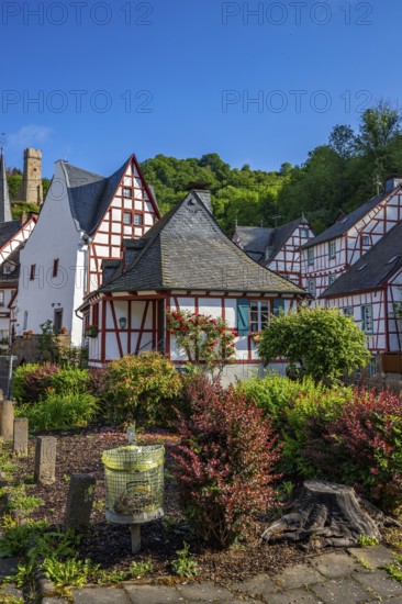 A historic half-timbered village in the morning. Beautiful light in Monreal im Elztal, Mayen-Koblenz district, Rhineland-Palatinate, Germany