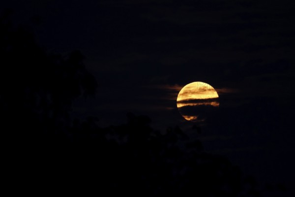 Moon on a summer night, Germany