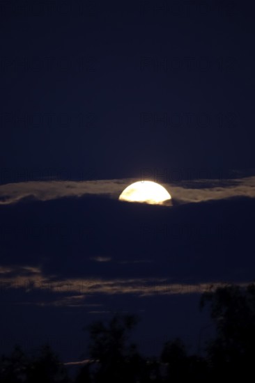 Moon on a summer night, Germany