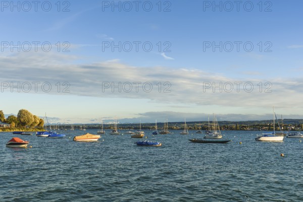 Boats anchored in front of the lakeshore in Allensbach, Lake Constance, Baden-Württemberg, Germany