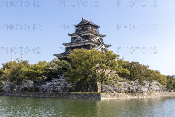 Hiroshima Castle, also known as Carp Castle, against a blue sky with cherry blossoms, sakura, and moat, replica of the original destroyed in the atomic bombing, sight, tourist attraction, Naka Ward, Hiroshima, Japan